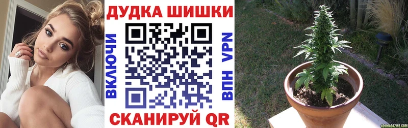 Купить закладки  Первомайск  Канабис индика 